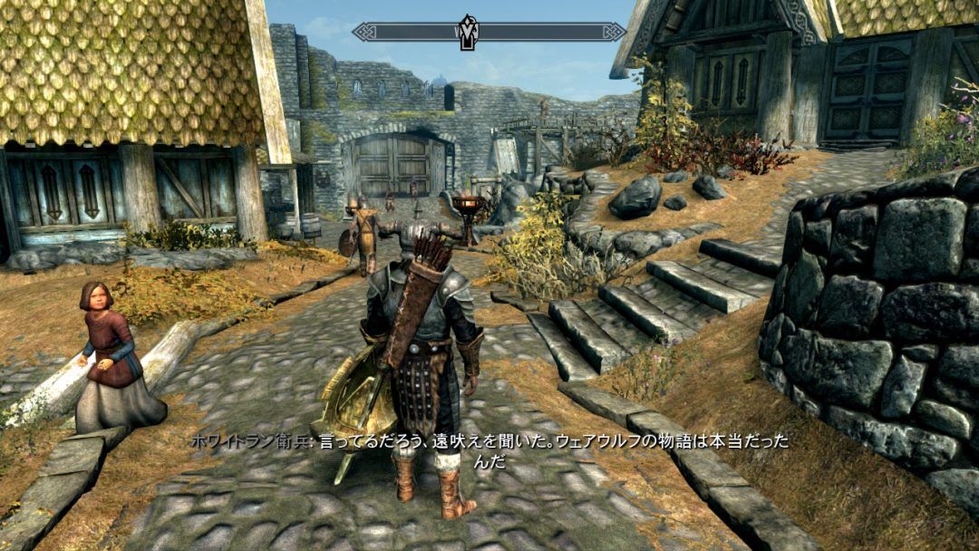 大人の癒し！スカイリムをSwitch版でプレイするメリットを調査